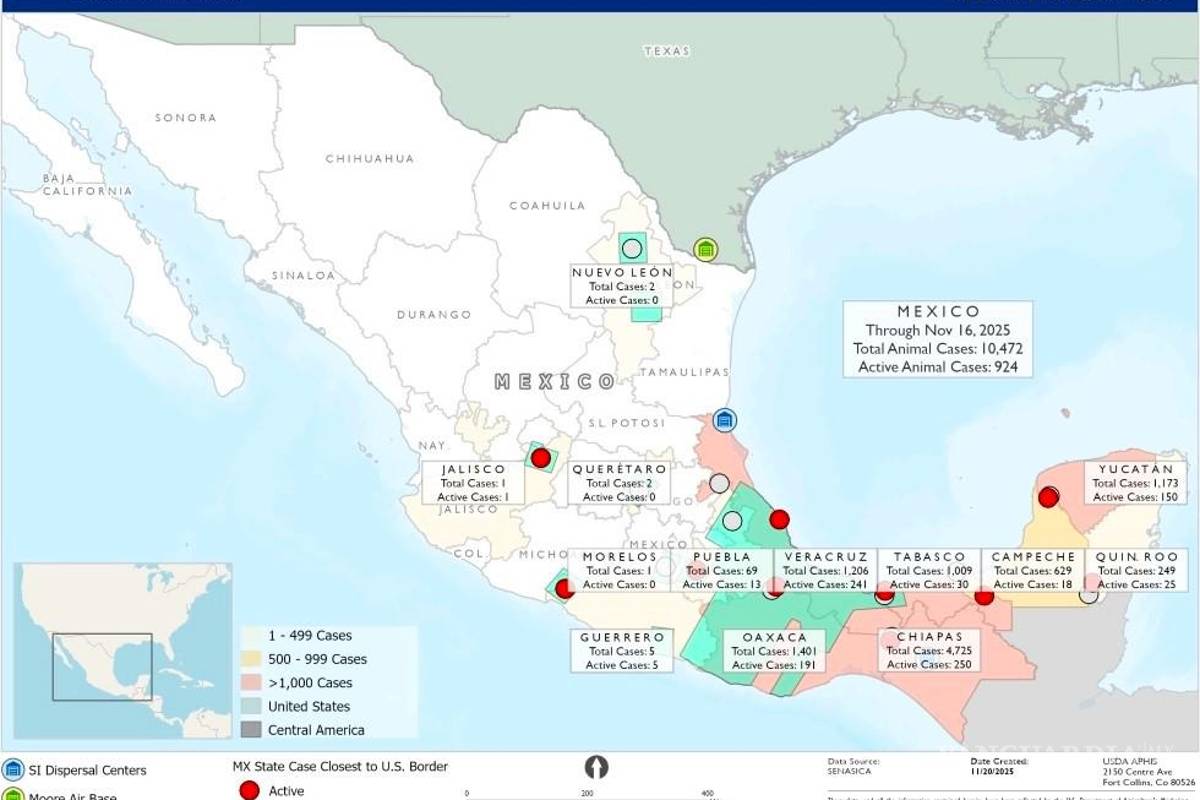 Eliminada en 91% la plaga de gusano barrenador en México, a un año de detectarse el primer rebrote