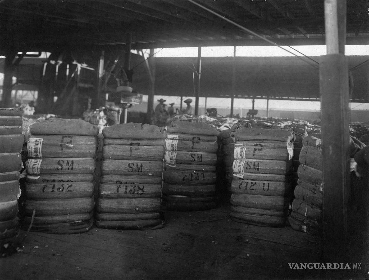 $!El empresario irlandés se desenvolvió en distintos campos del comercio.