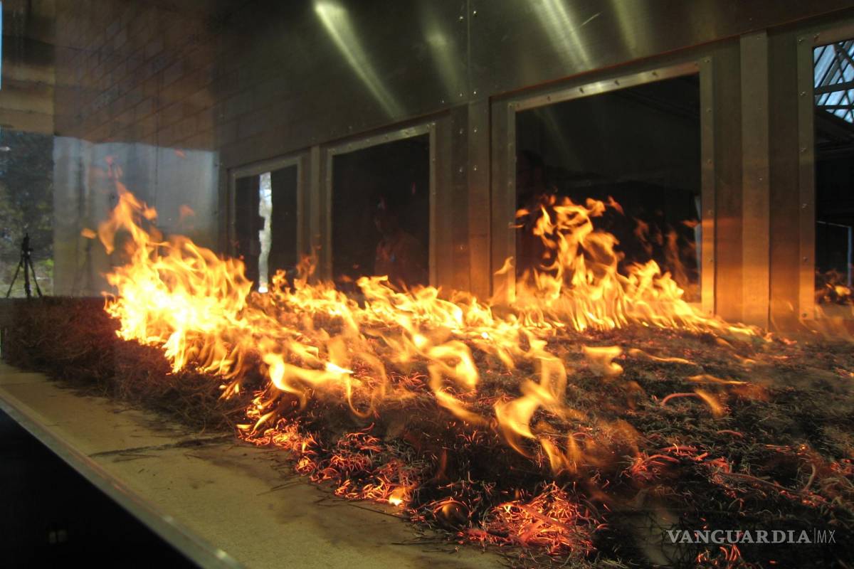 $!Pyrotron en el Laboratorio Nacional de Investigación del Comportamiento de Incendios Forestales en Black Mountain, Canberra.