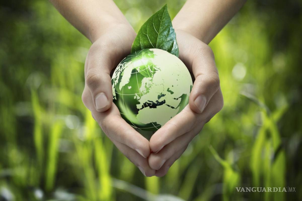 La Hora del Planeta: 10 consejos para ahorrar energía todos los días