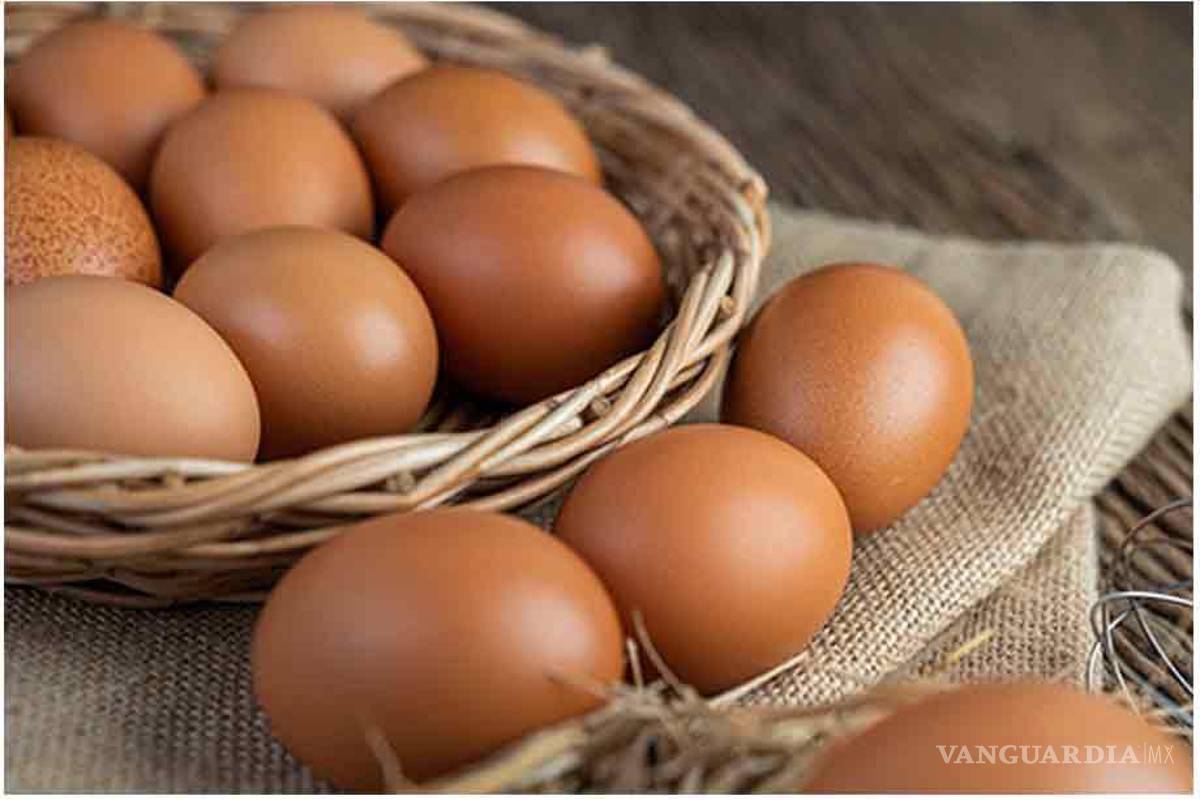 Coahuila: ¿Por qué incluir el huevo en la dieta diaria?