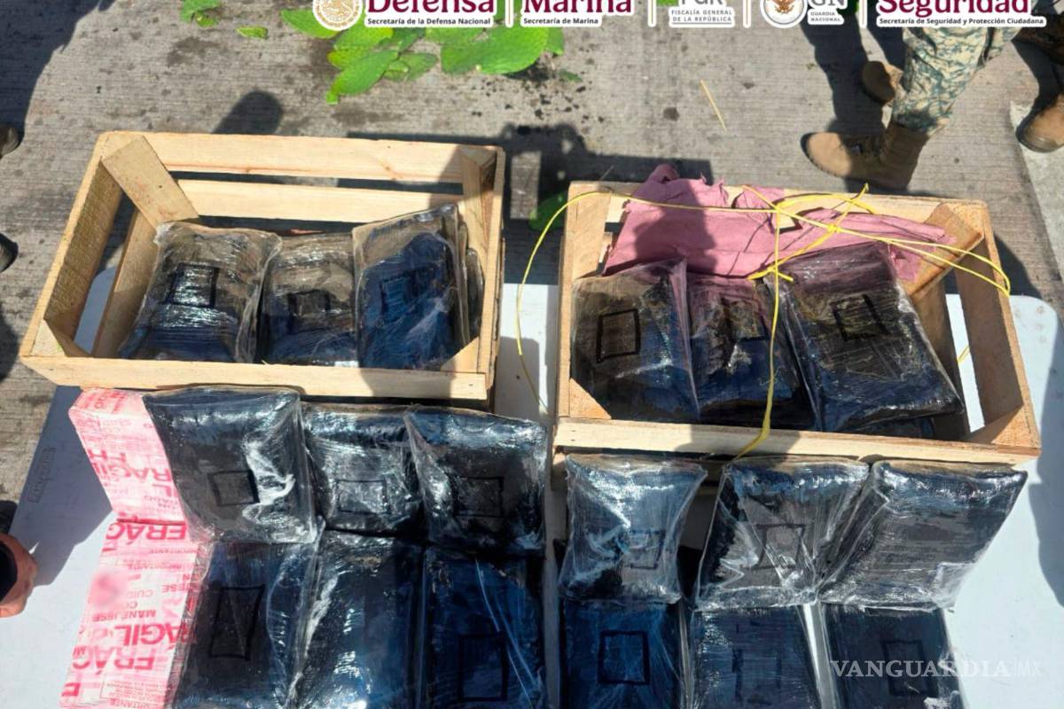 Incautan 275 mil pastillas de fentanilo ocultas en cargamento de nopales