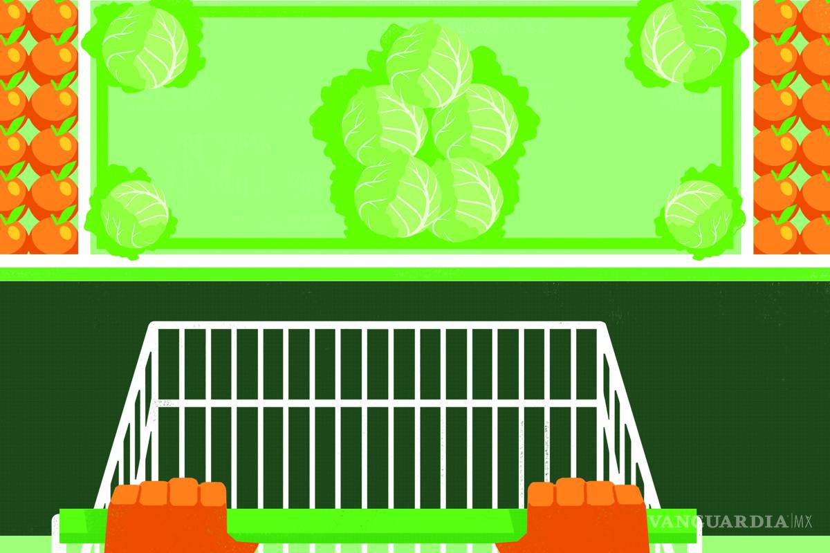 Para ir de compras es necesario presupuestar