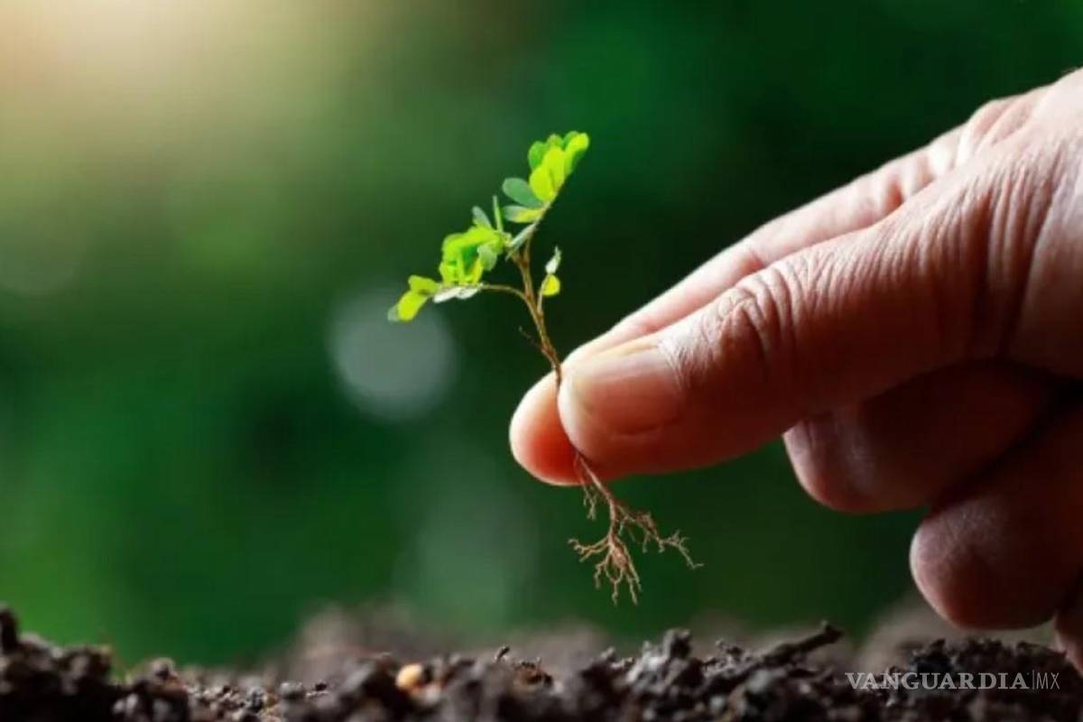 Reunirá Perú a más de 350 líderes ambientales