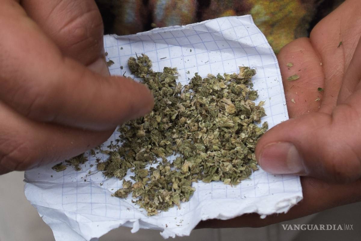 Respalda sociedad civil despenalizar la droga