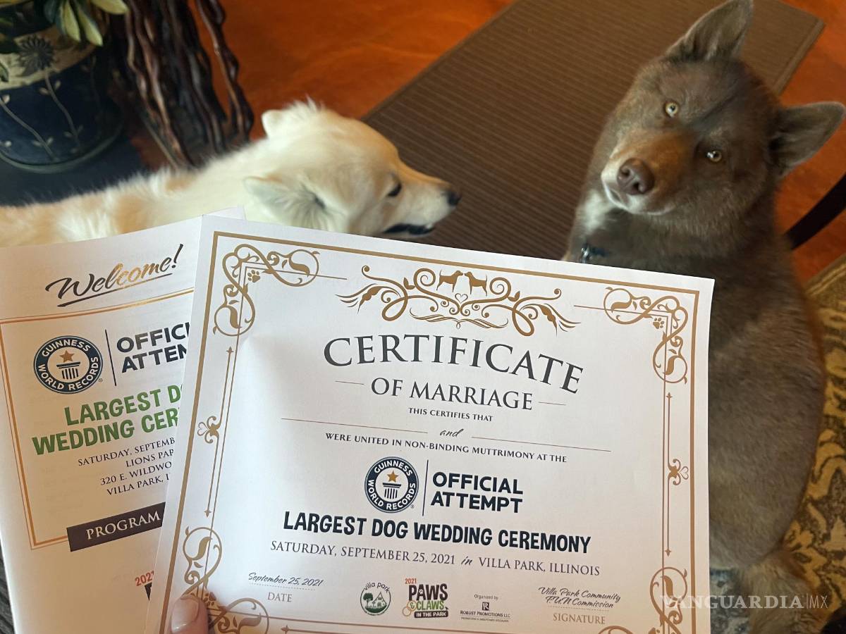 $!Fotografía donde se aprecia a dos perros junto con sus certificados de matrimonio casados durante una fiesta celebrada en Villa Park, Illinois.