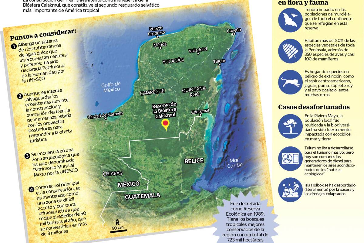 Calakmul, un paraíso amenazado en Campeche