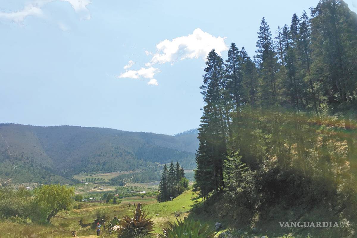 Vacacionar en la sierra tiene sus riesgos, advierten en Arteaga