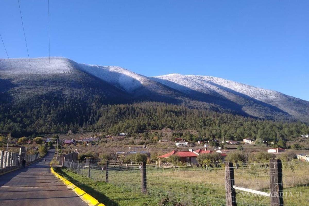 Aguanieve transforma la Sierra de Arteaga en un paisaje invernal