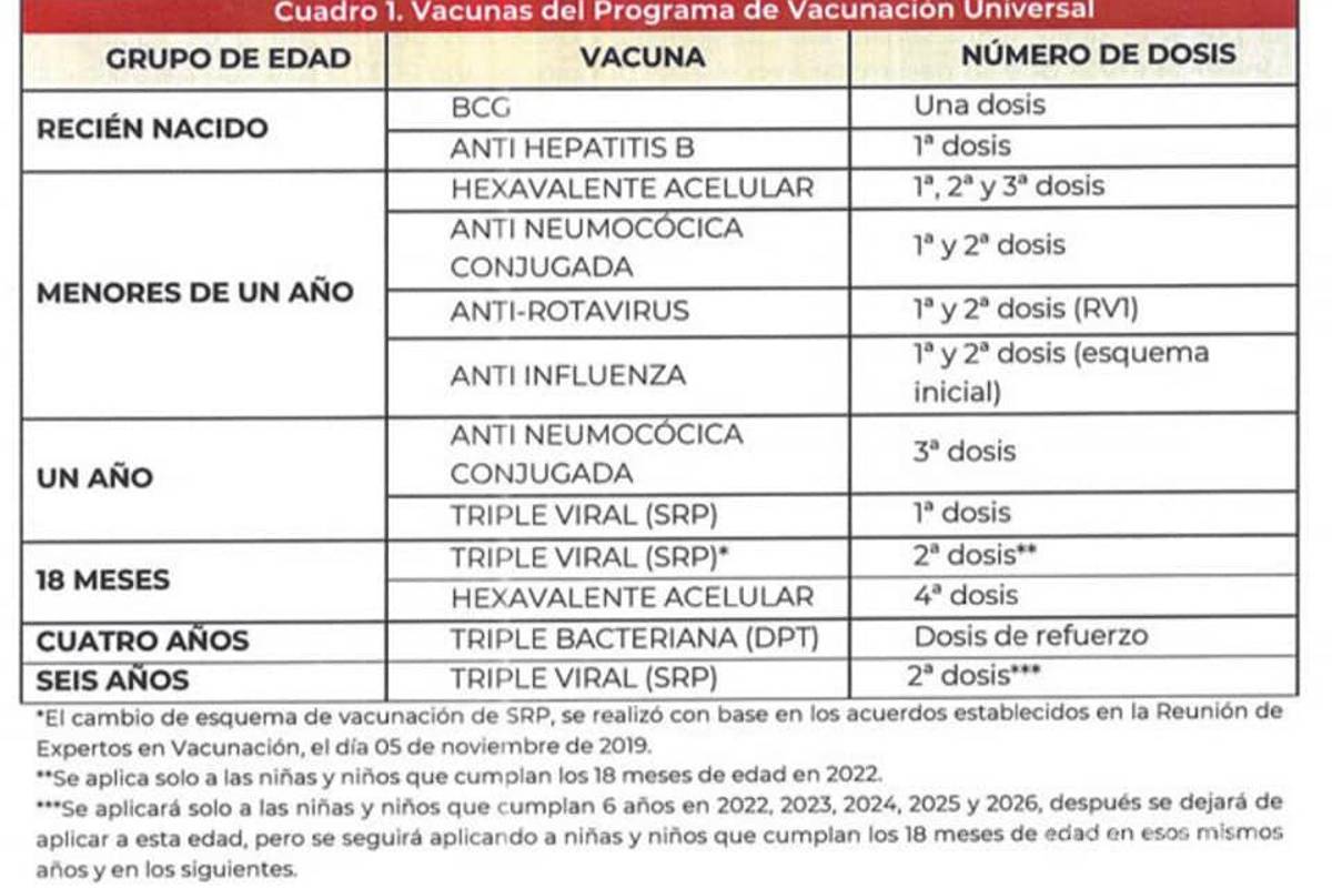 ¿Conoces los cambios en la cartilla de vacunación de menores? Pediatra aclara dudas