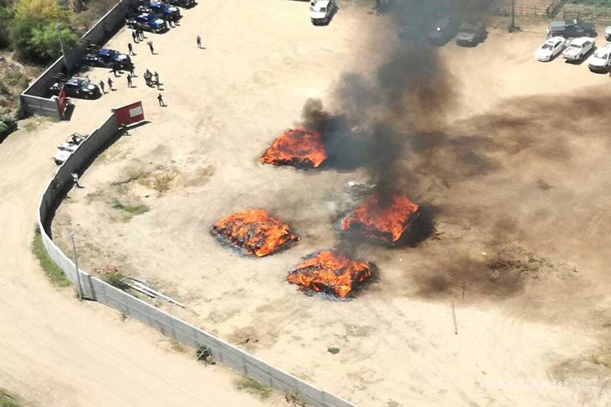 Marina y PGR destruyen 16 toneladas de mariguana