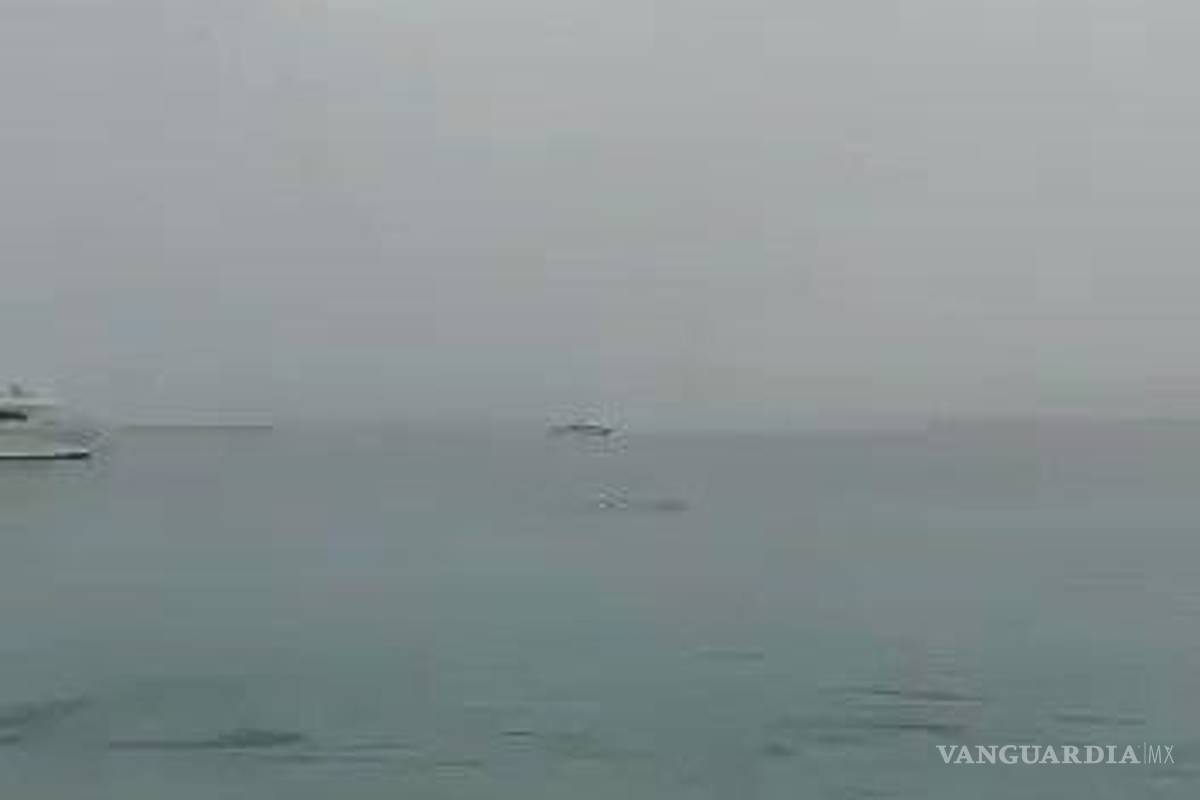 Tiburón tigre se comió a un joven en una playa de Egipto