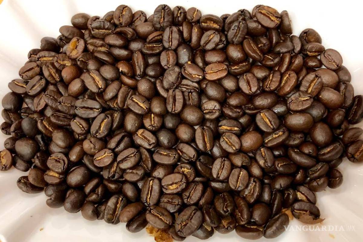 $!El café, chocolate, jarabe de maple y otros ingredientes desaparecerían por el cambio climático