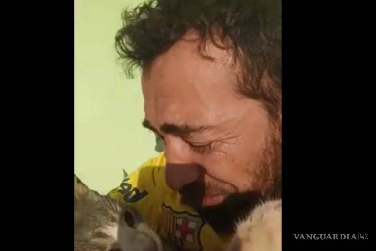 Muere envenenado el ‘gatito mochilero’; su humano, inconsolable