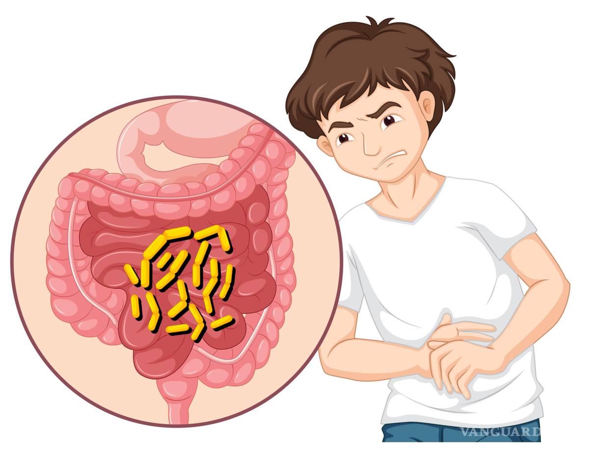 $!Los antibióticos también eliminan bacterias beneficiosas del intestino.