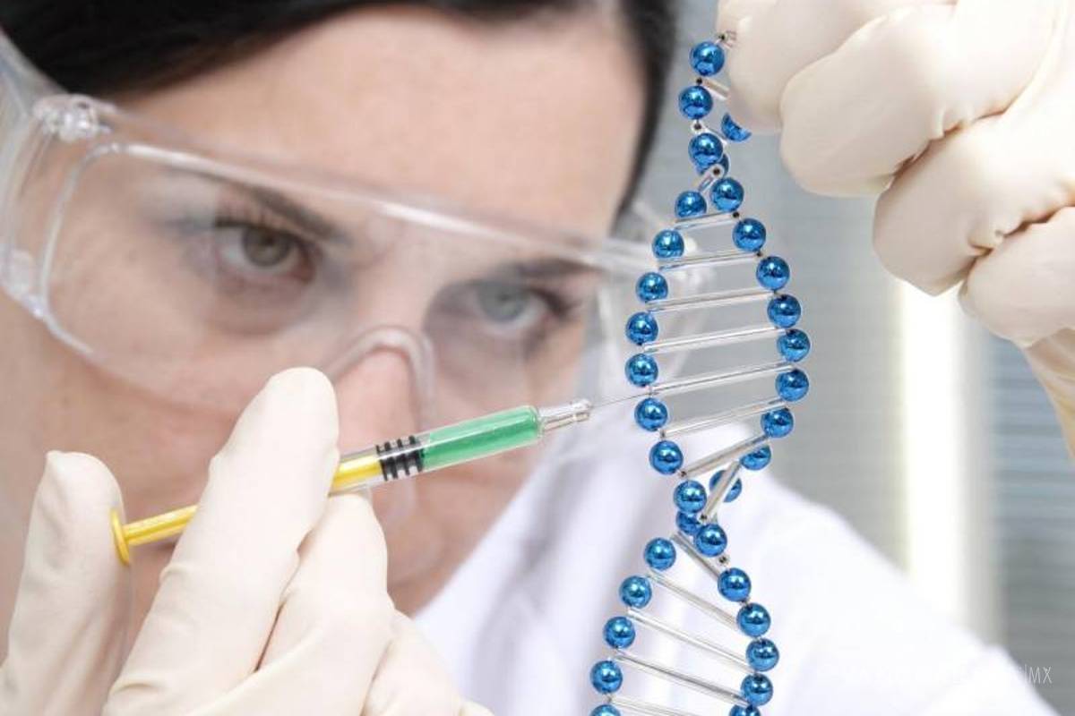 $!Guía práctica para ganar un Nobel científico