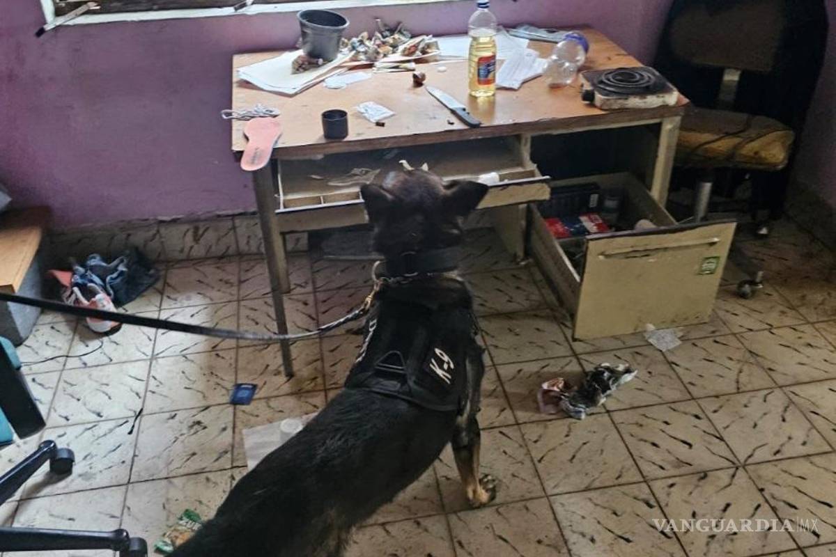 $!Cateo en viviendas en NL deja dos detenidos, aseguran armas y drogas