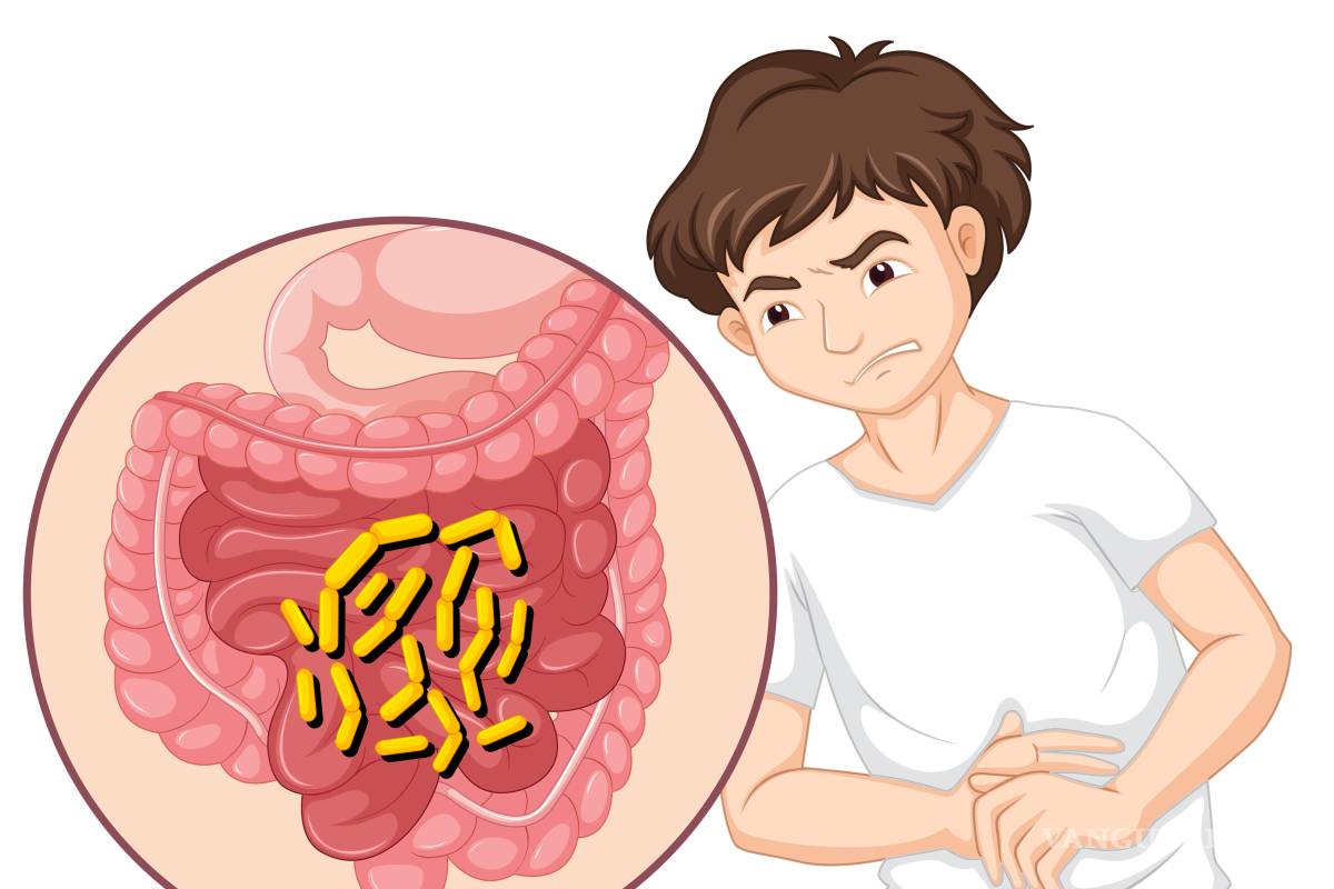 $!Los antibióticos también eliminan bacterias beneficiosas del intestino.