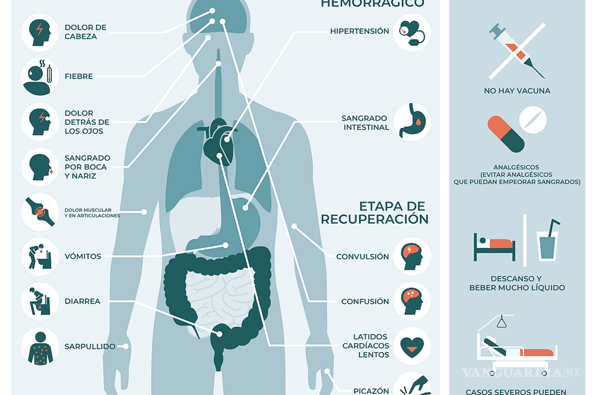 $!Coahuila suma 34 casos de dengue; tres se reportan graves