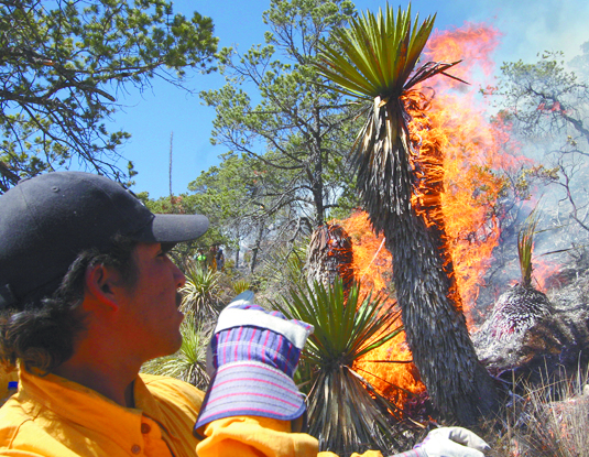 Continúa Sedena brindando servicios contra incendios; atacan cuatro