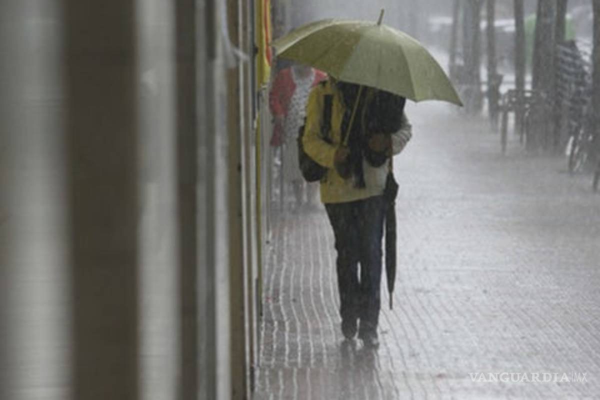 La Laguna tres años con lluvias por debajo de la media histórica