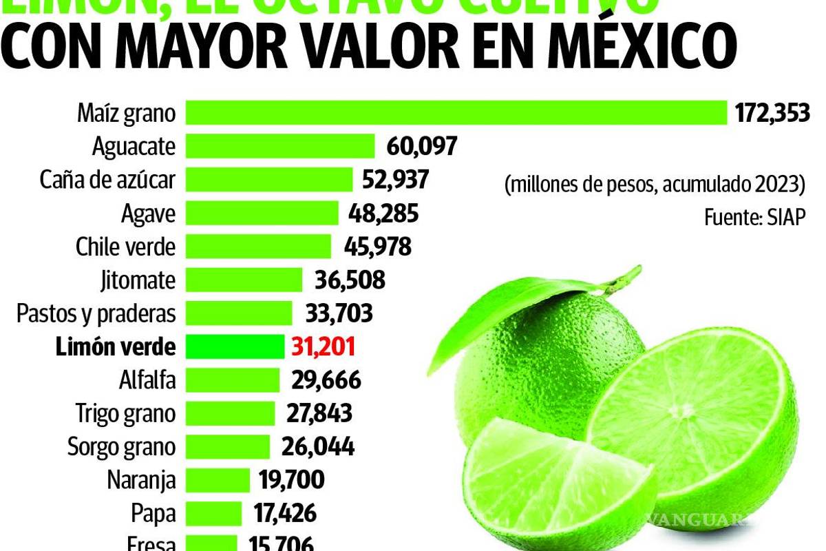 $!Limón se vuelve ‘más agrio’ ante alza de precios provocada por hechos de inseguridad