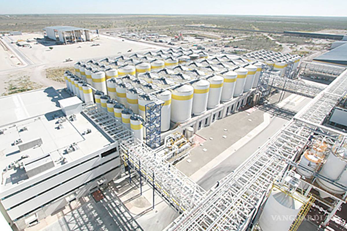 Planea Constellation Brands invertir más de 5 mil mdd en México según ventas en EU