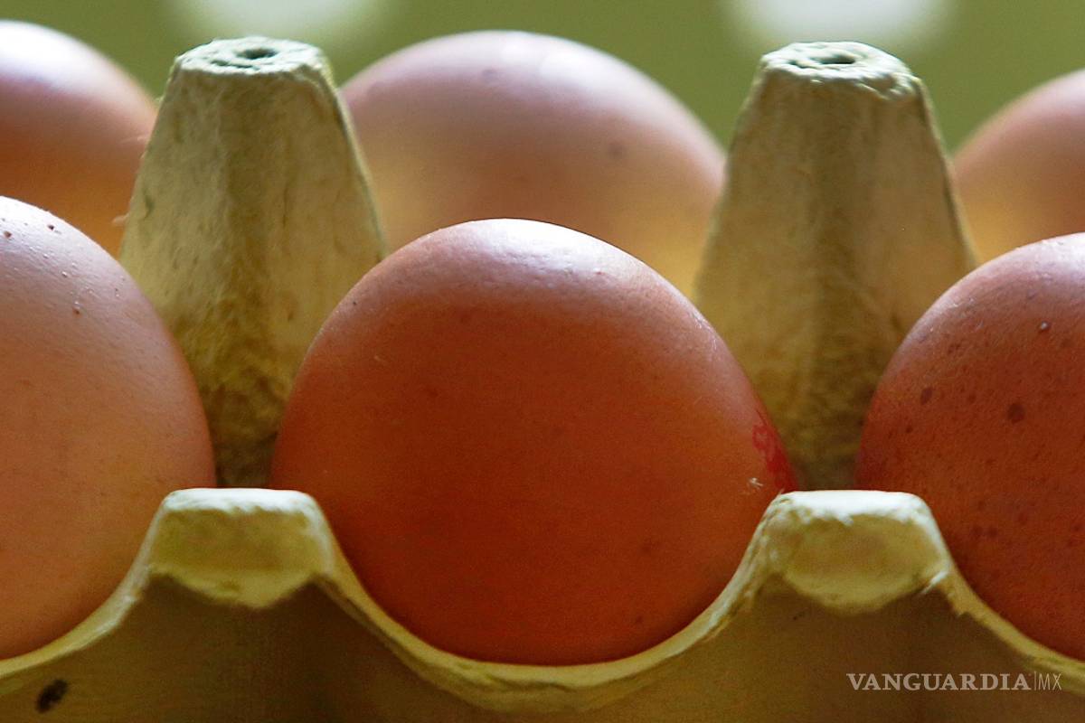 $!Hay 17 países afectados por los huevos contaminados con fipronil