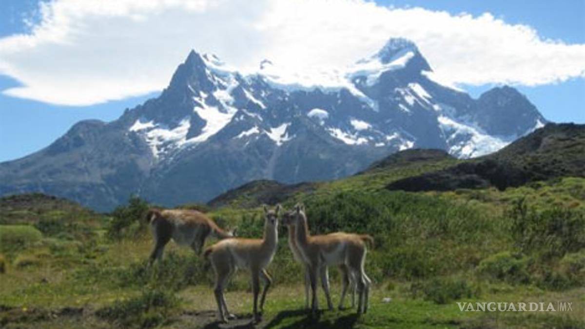 Aprueban en Chile construcción de hidroeléctricas que inundarán miles de hectáreas de Patagonia