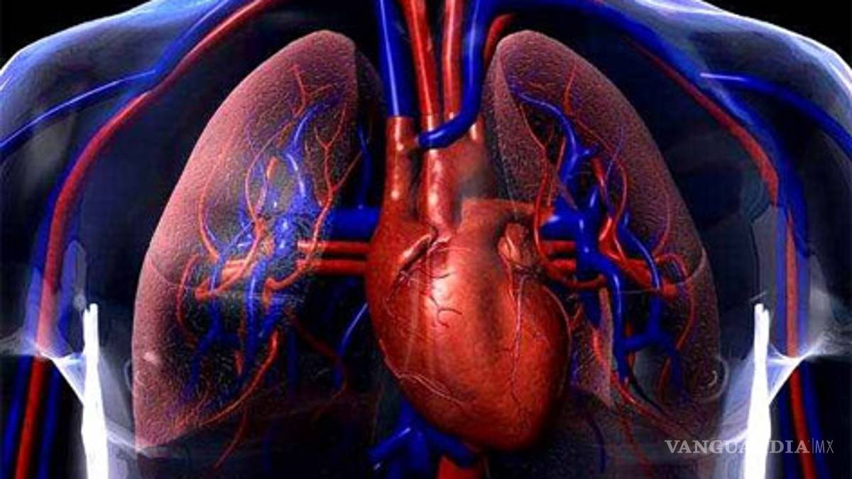 Mujeres no siempre sienten ataques cardiacos