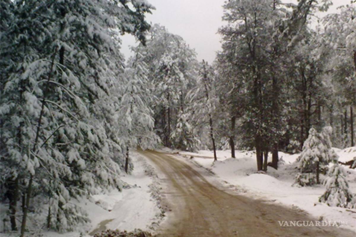 Reventó el frío la red de agua en 80% de casas de la ciudad de Chihuahua