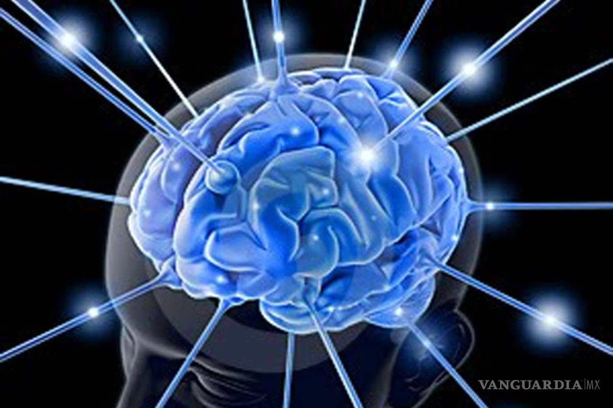 Más de mil genes influyen en la inteligencia