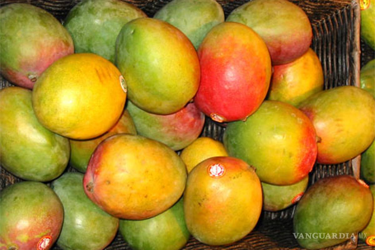 No hay evidencias de que mango mexicano tenga salmonella: SAGARPA