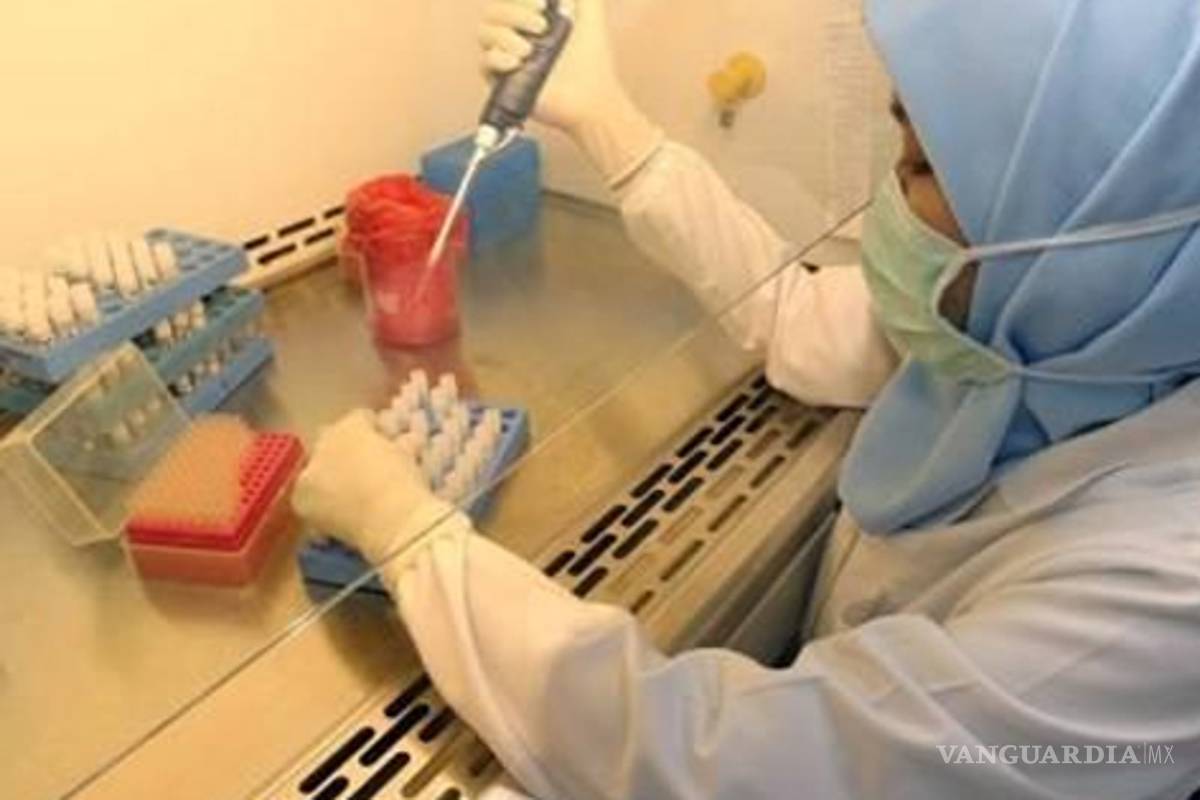 Descubren mecanismo de resistencia del cáncer