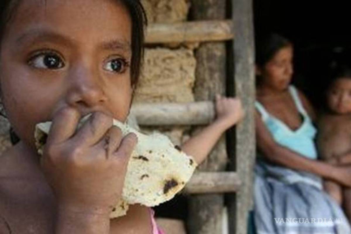 El sistema ha generado 52 millones de mexicanos pobres: Instituto Nacional de la Nutrición
