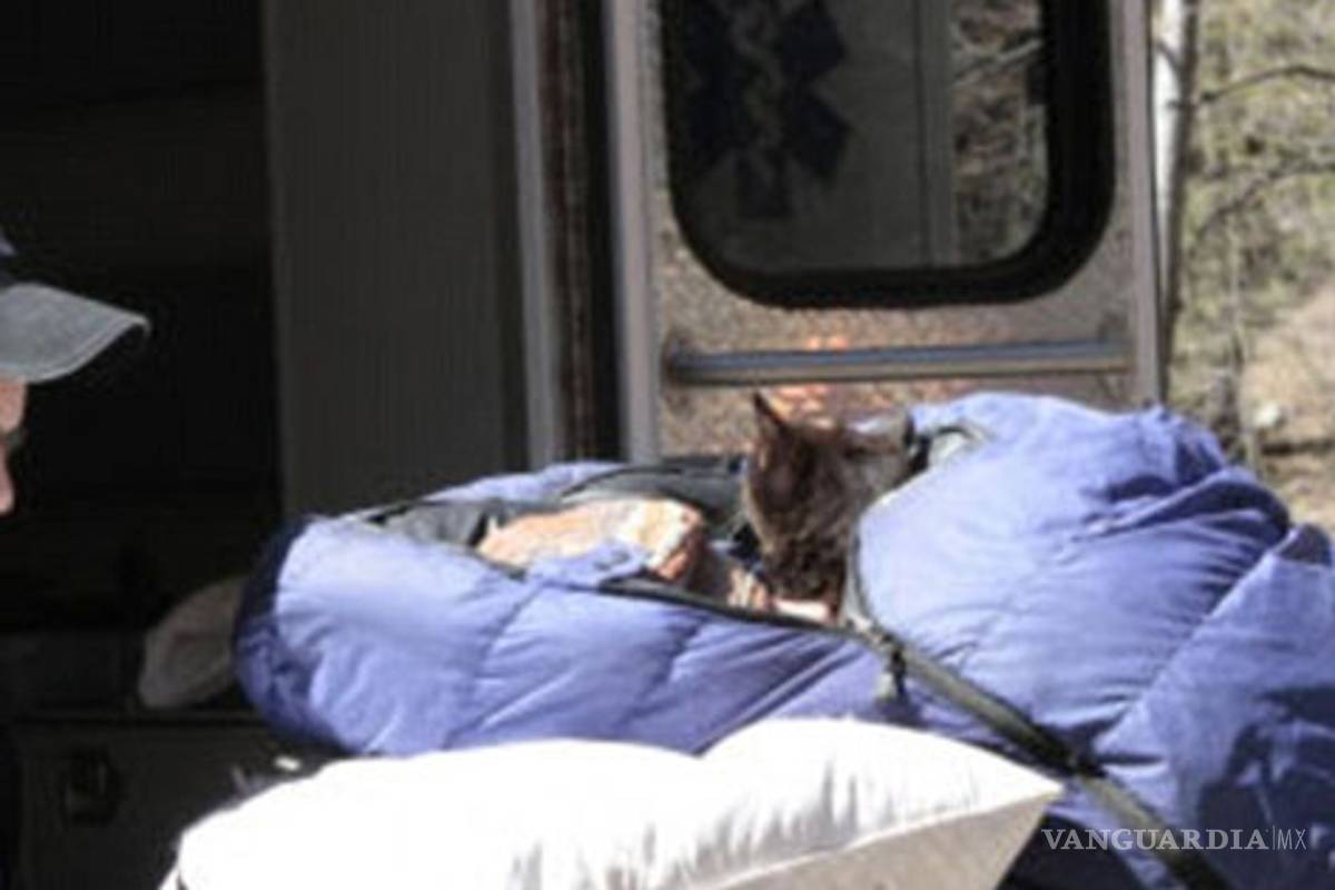 Una mujer sobrevivió un mes perdida en bosque de Nuevo México