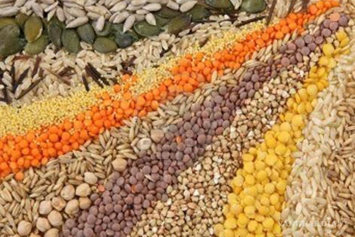 México podría ser segundo importador mundial de granos: CNA