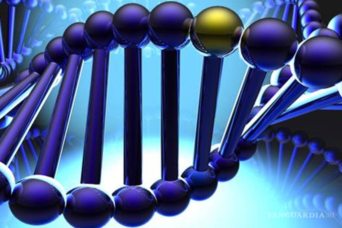 Gen determina el horario en que morirás