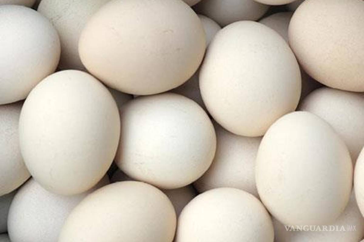 Millones de huevos comunes, vendidos como ecológicos en Alemania