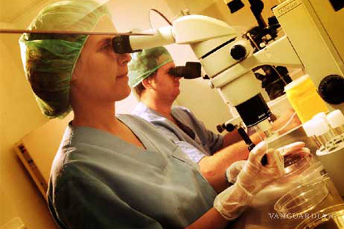 Leyes para futuros padres: reproducción asistida