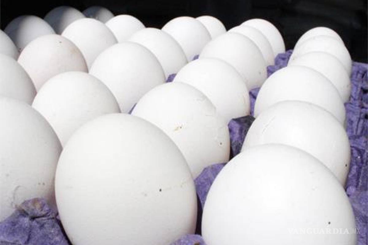 Bachoco duplicó ganancias durante la influenza aviar