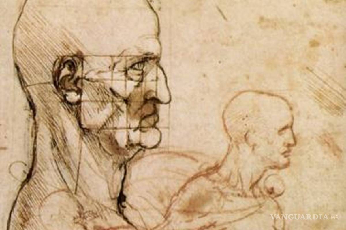 Dibujos de Da Vinci muestran su pasión por la anatomia