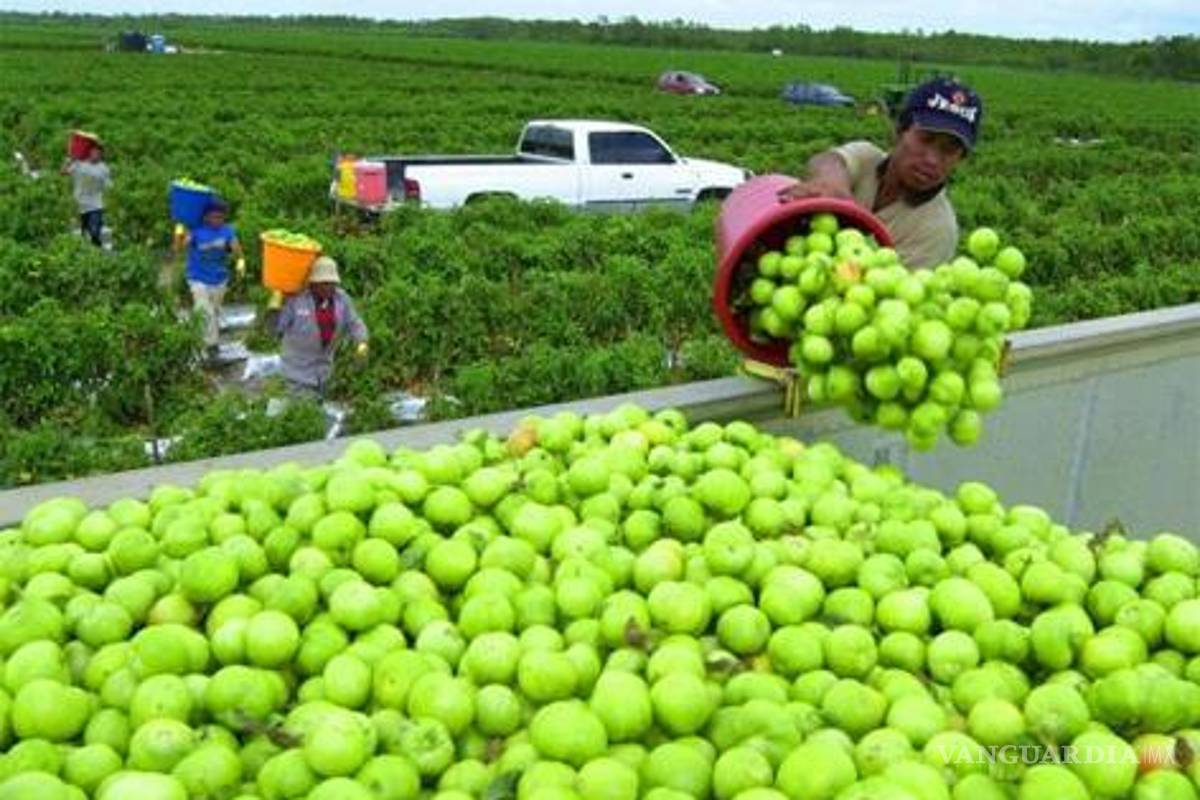Canadá: Nuevo golpe a los trabajadores migrantes vulnerables