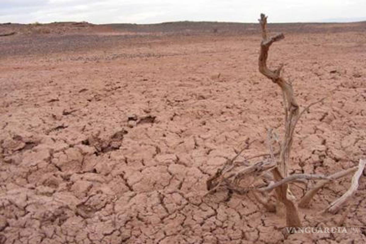 Desde hace décadas, México sufre estrés hídrico, advierten