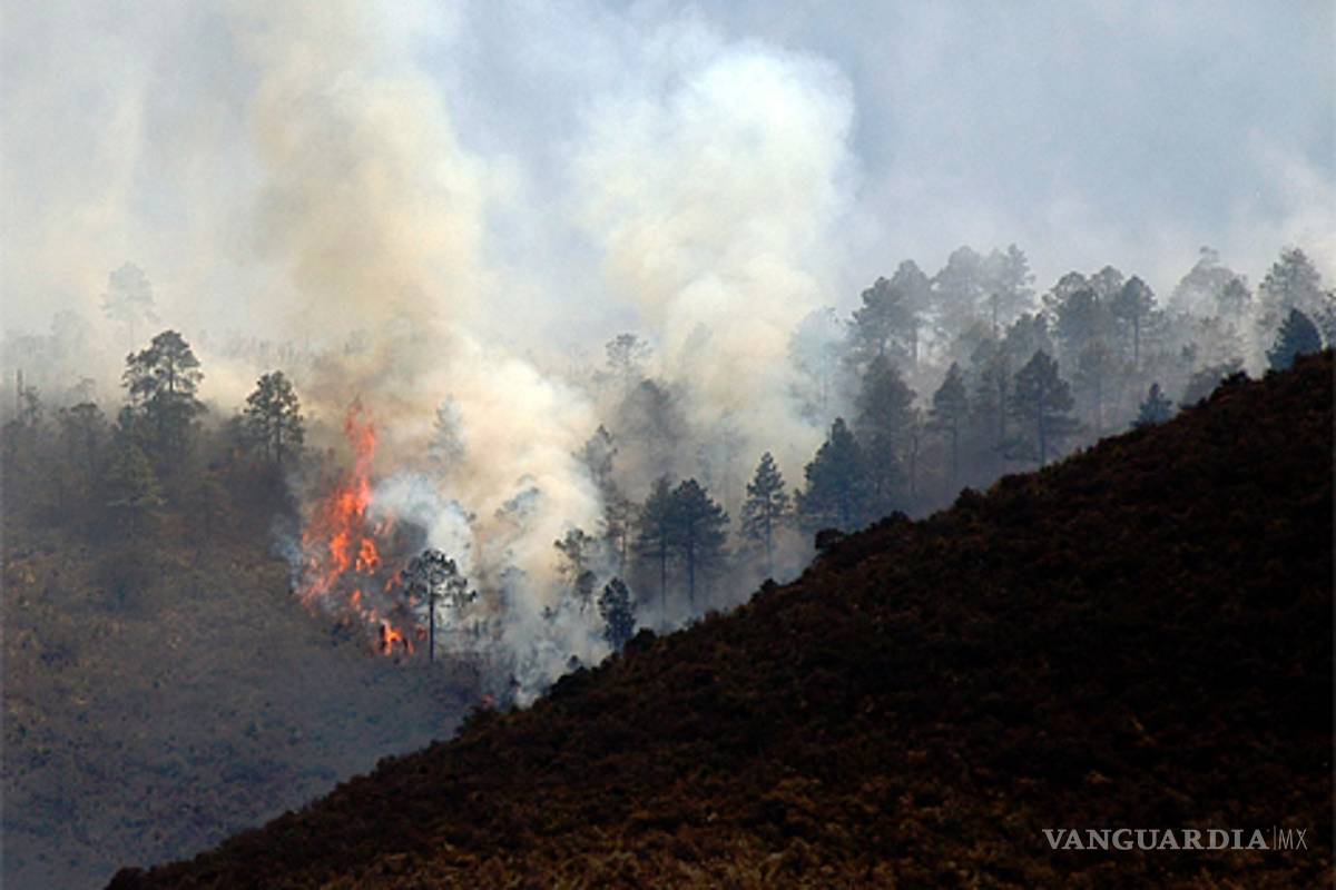 Se esperan más y peores incendios por la ola de calor en México