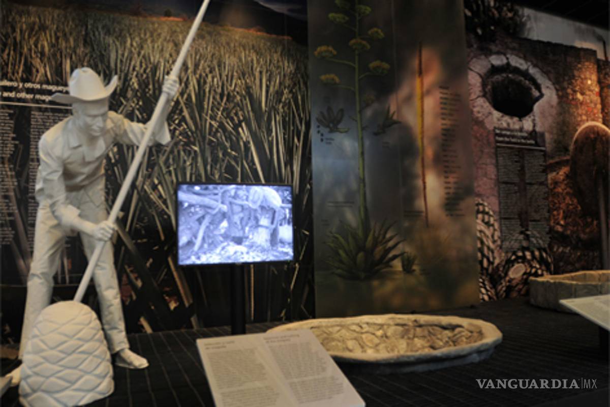 El tequila y el mezcal ya tienen su propio museo