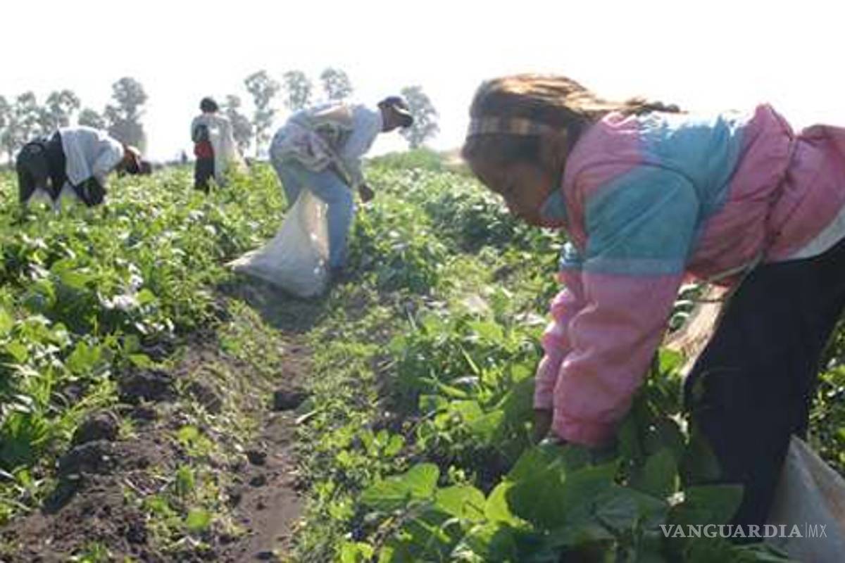 Desnutridas y en la miseria, 400 familias jornaleras en Huejutla