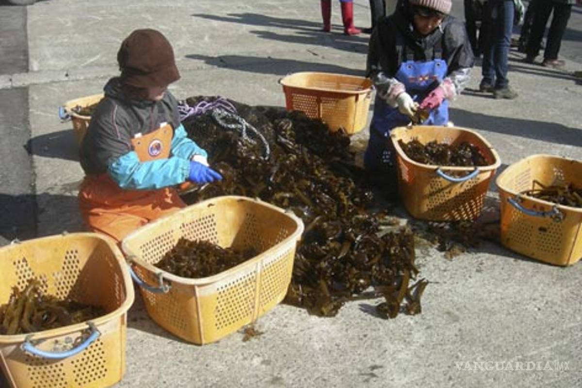 Las mujeres, motor de la recuperación psicológica tras el tsunami de Japón