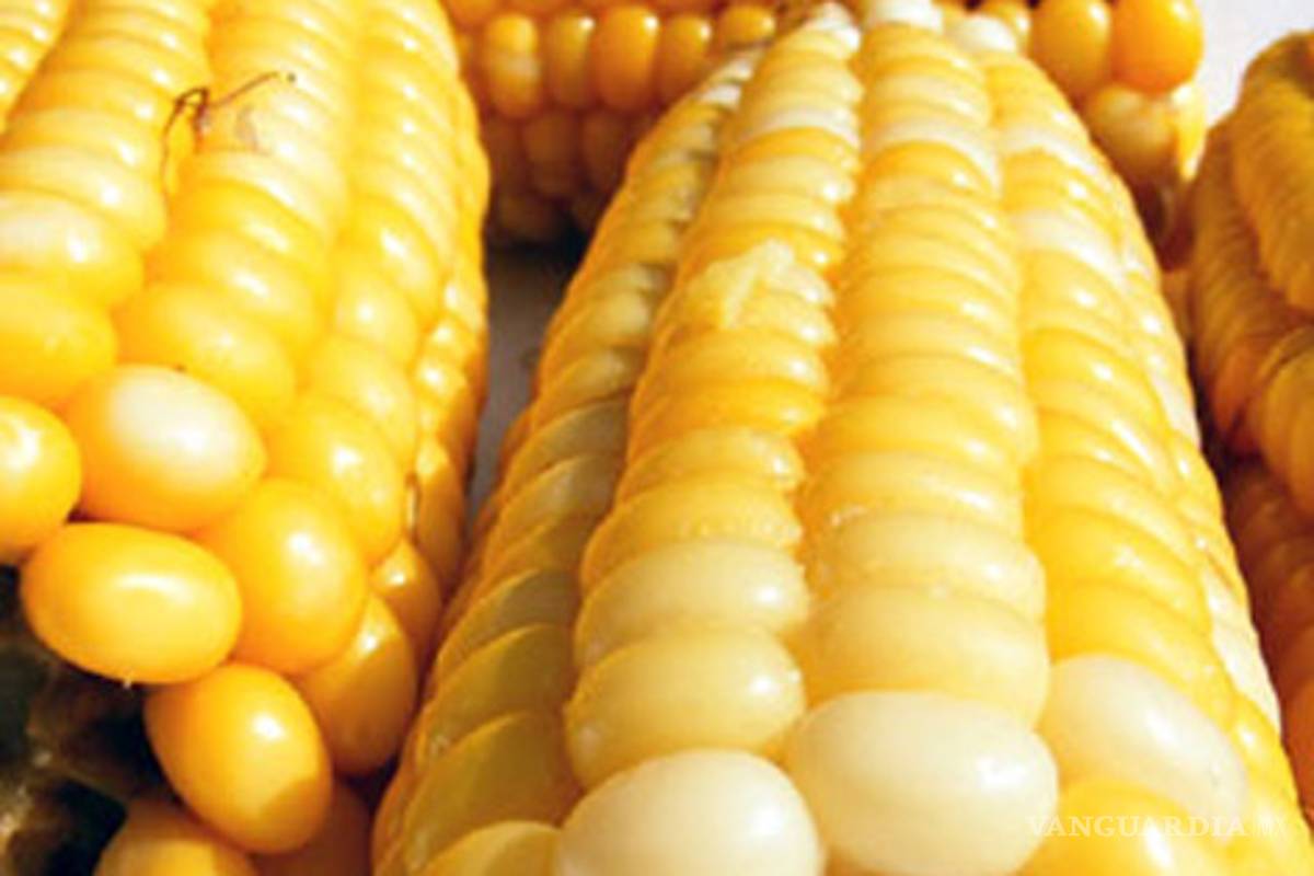 ¿Monsanto controlará el sistema alimentario argentino?