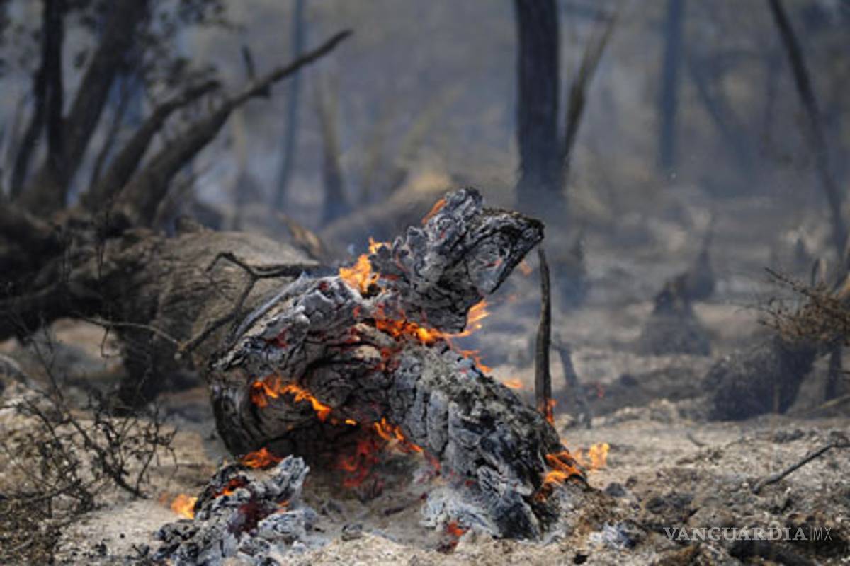 'Se cumple puntualmente con suministros para aeronaves en Coahuila', contesta Pemex
